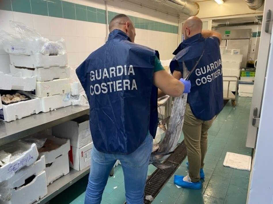 guardia costiera civitavecchia pesce (2) guardia costiera civitavecchia pesce (1)