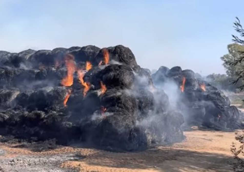 incendio azienda agricola fioravanti ladispoli incendio azienda agricola fioravanti ladispoli