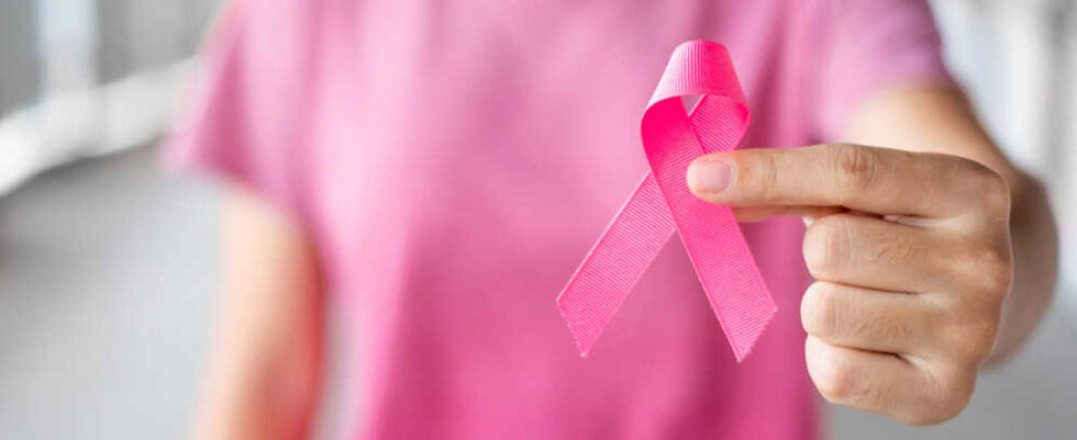 Ricerca Sul Tumore Al Seno La Campagna Nastro Rosa Di Airc Nelle 