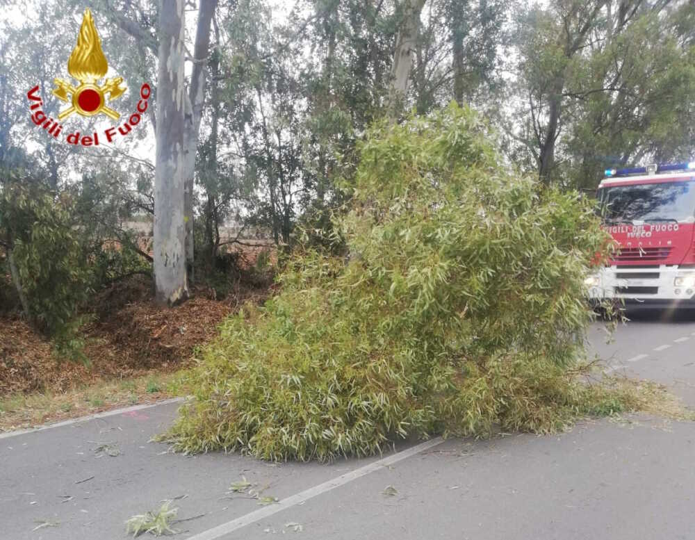 ramo-caduto-santagostino-vvf-vigili-fuoco-civitavecchia-1