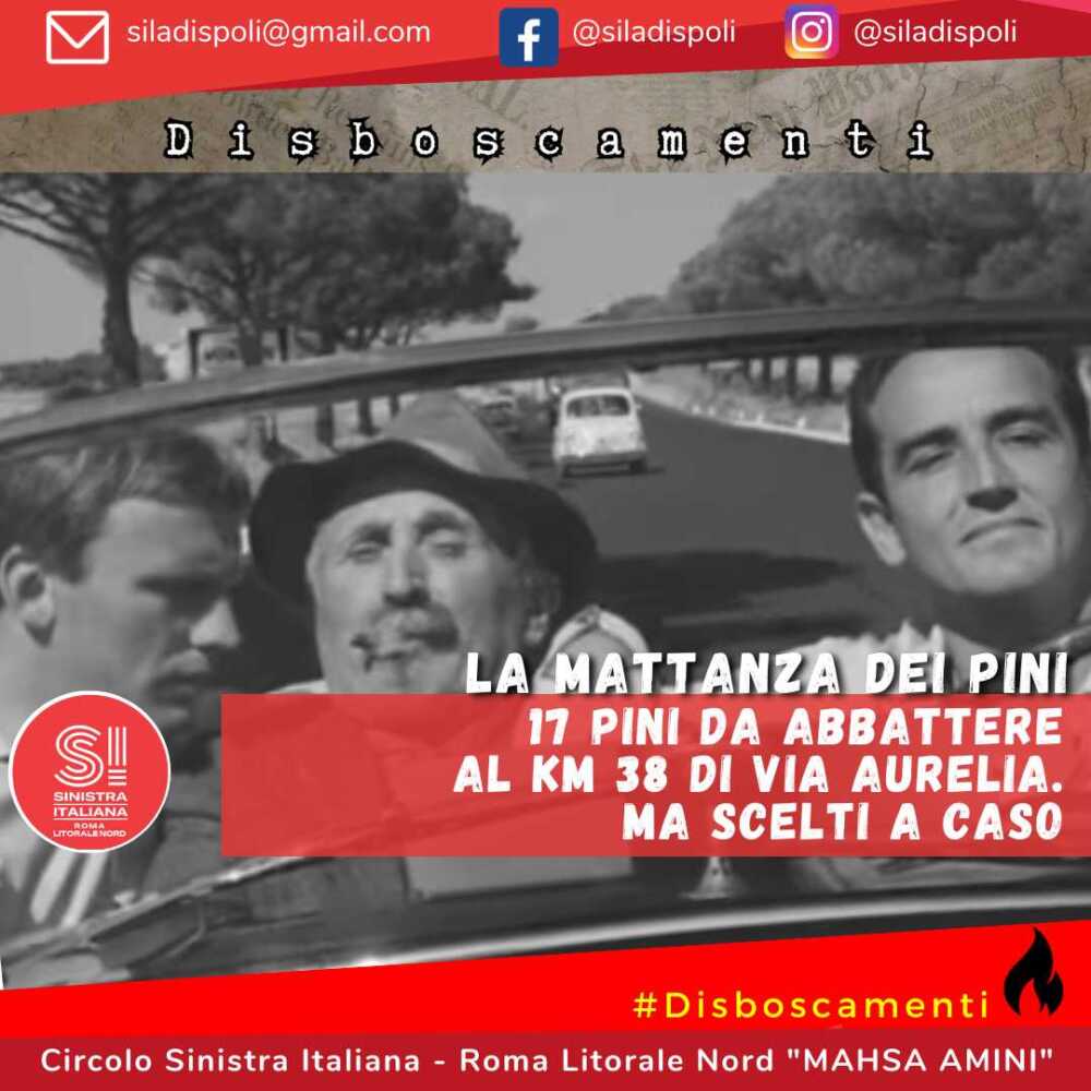 si ladispoli pini sorpasso