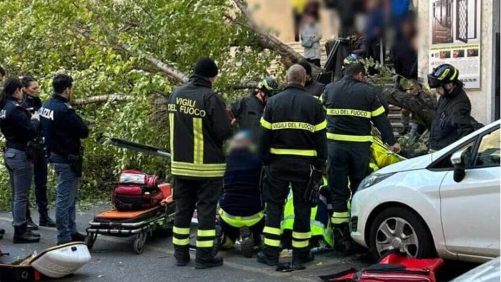 Donna morta albero Roma Donna morta albero Roma