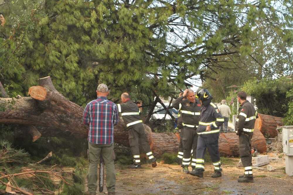 FB_IMG_1699189991223 FB_IMG_1699189991223