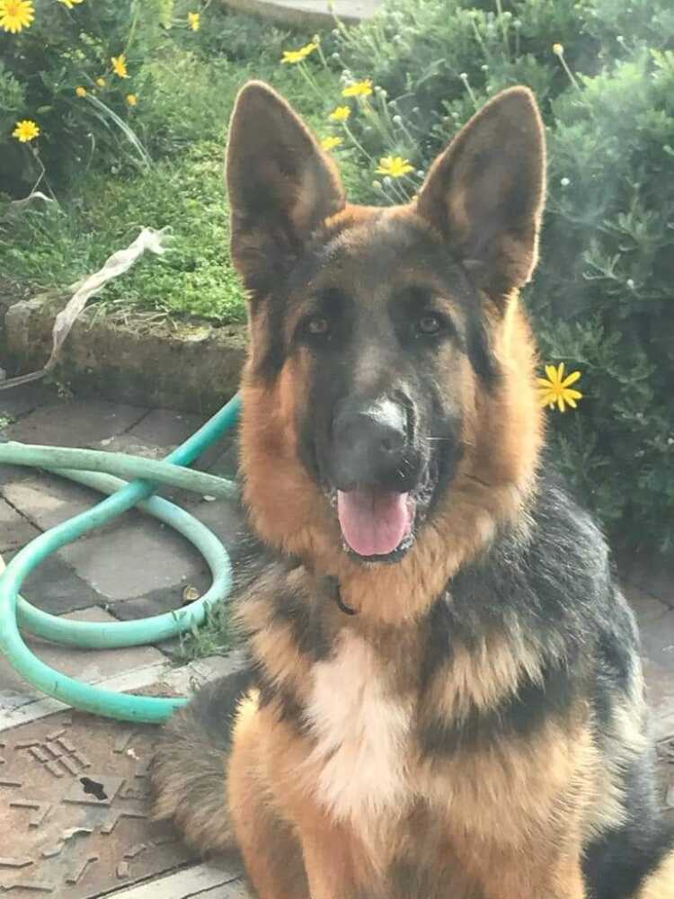 FB_IMG_1699399716084