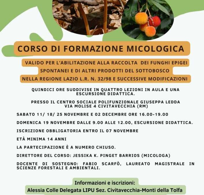 Civitavecchia, scoprire il Mondo dei Funghi con il Corso di Formazione Micologica 2023