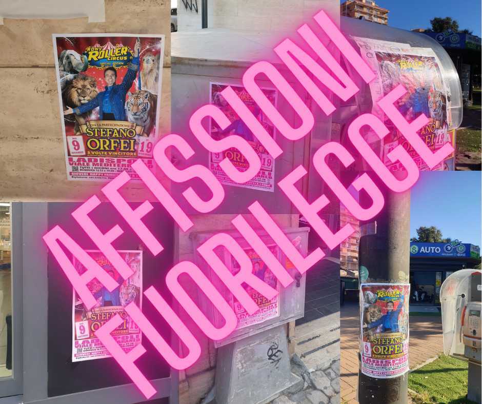 affissioni fuorilegge circo ladispoli