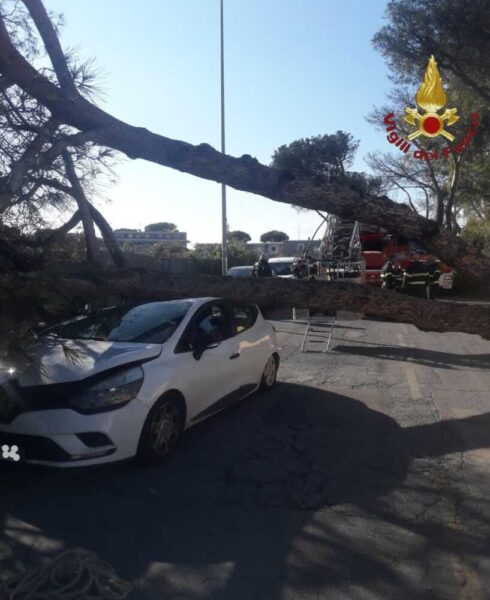alberi caduti su auto roma vvf vigli fuoco pompieri (2)
