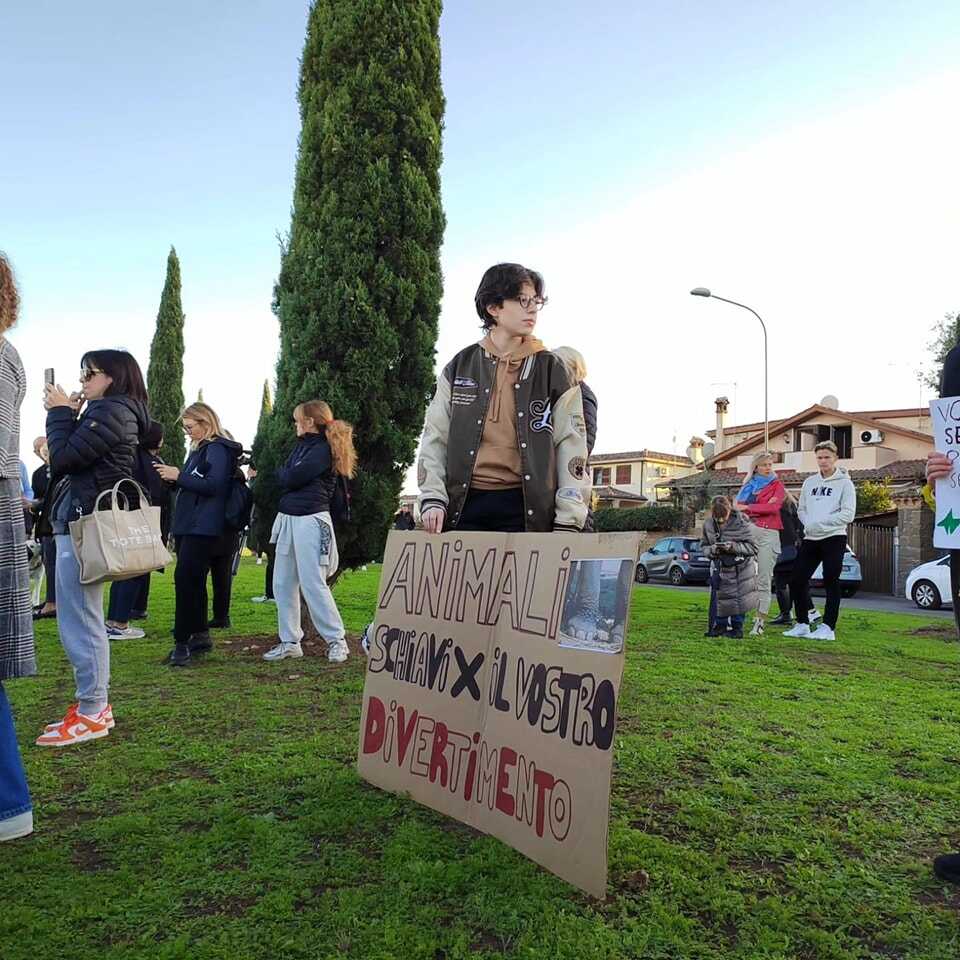 circo ladispoli protesta animalisti 3