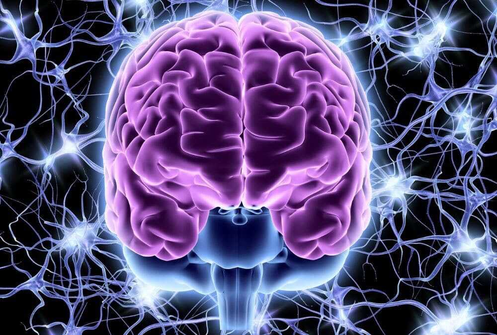 conferenza auser sul cervello