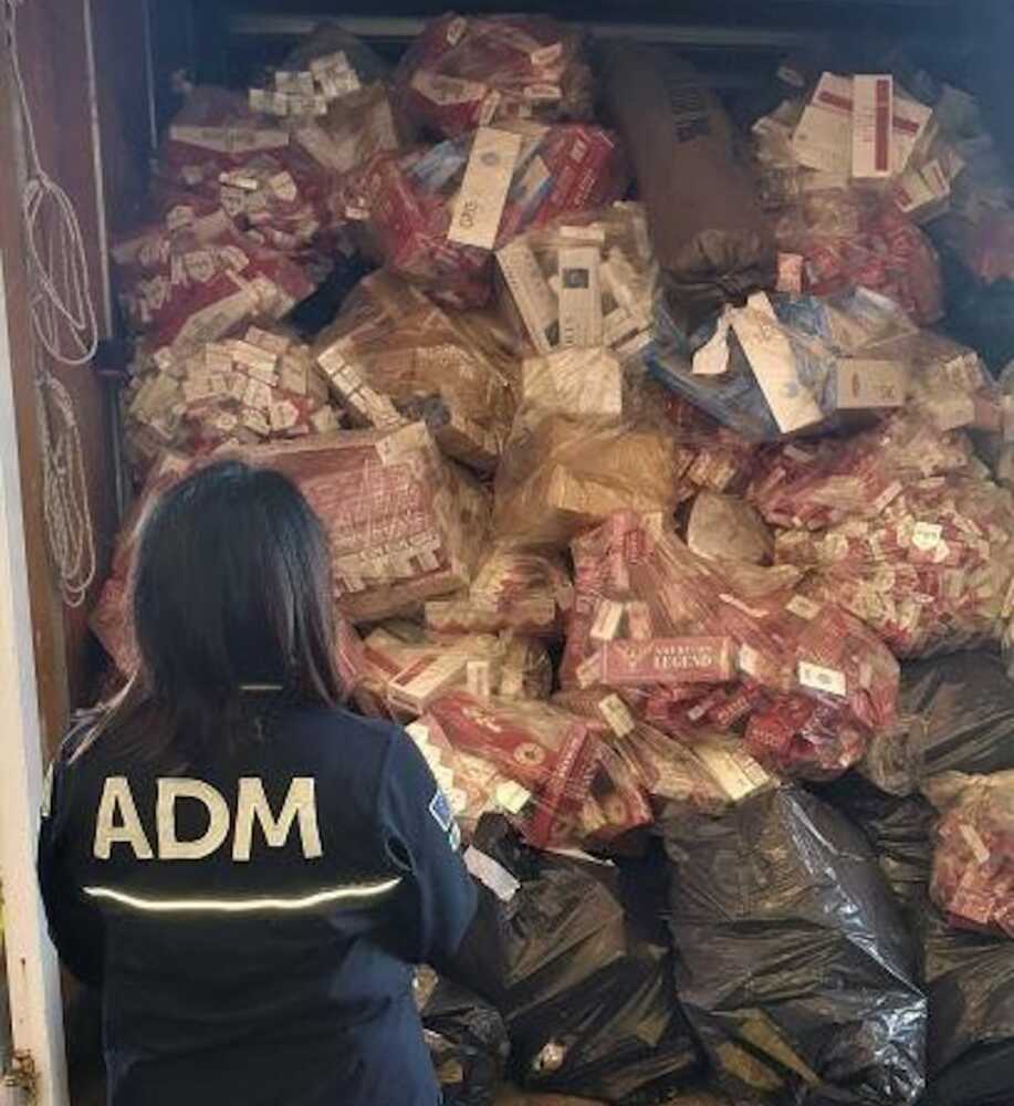 distruzione tabacchi distrutti dogane civitavecchia