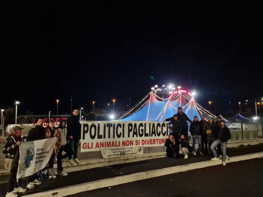 enpa chinghiale binco viterbo striscione