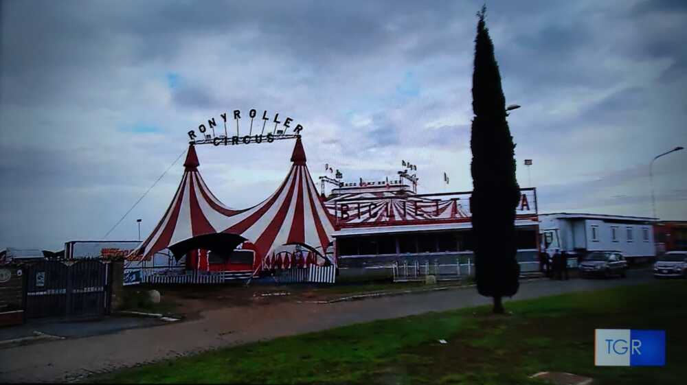 leone ladispoli circo roller 1