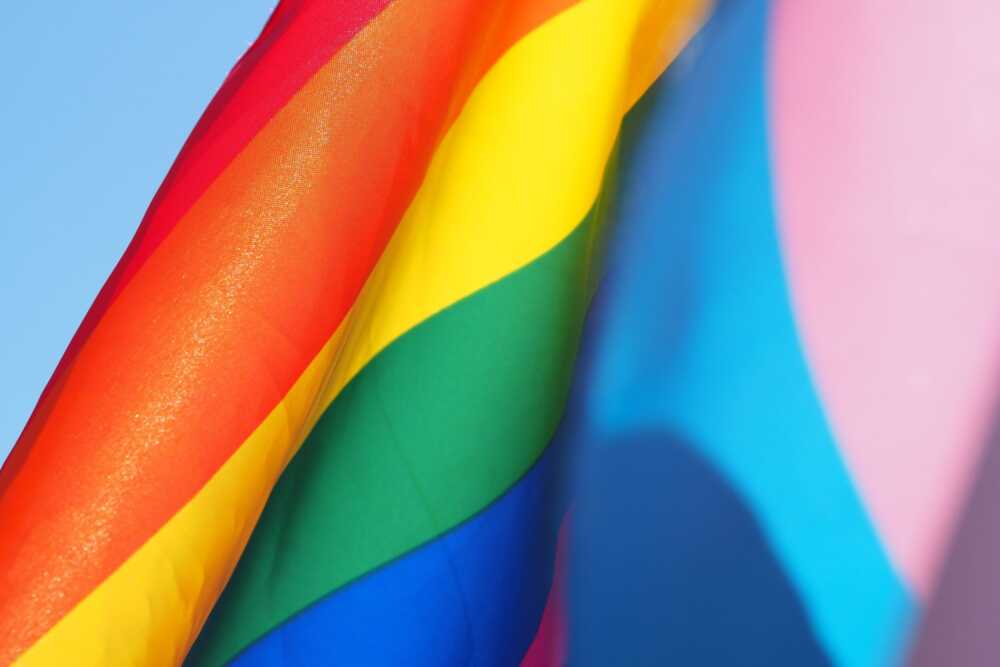 lgbtq cerveteri sportello