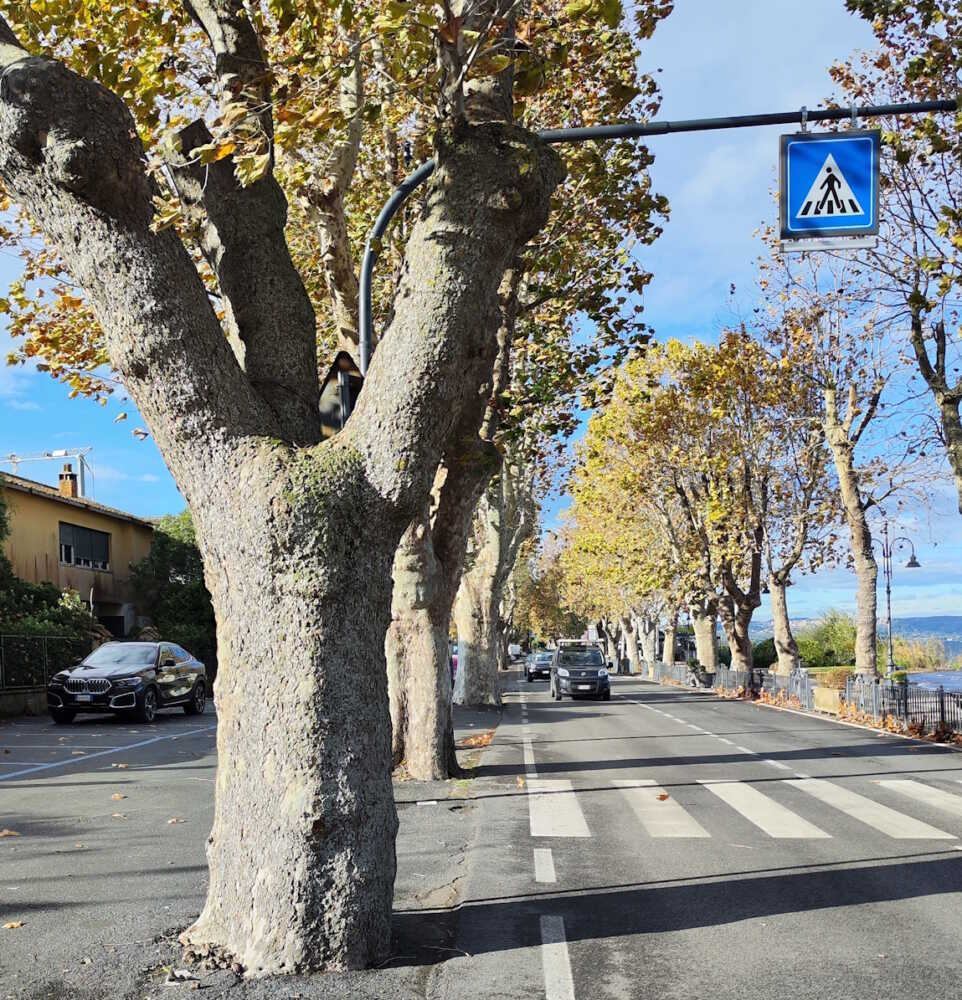 lungolago anguillara 11 lungolago anguillara 11