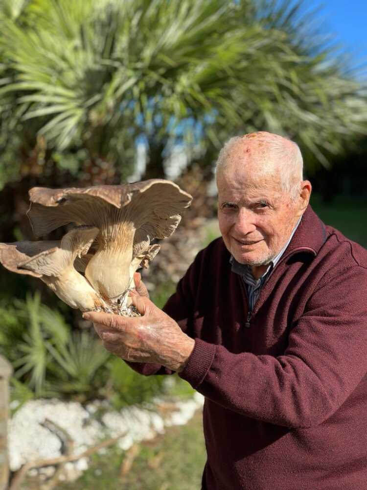 mariani con fungo ferleng 2 kg tarquinia a montericcio