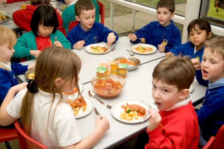 A Cerveteri aperte le iscrizioni al servizio di refezione scolastica per l’anno 2025/2026