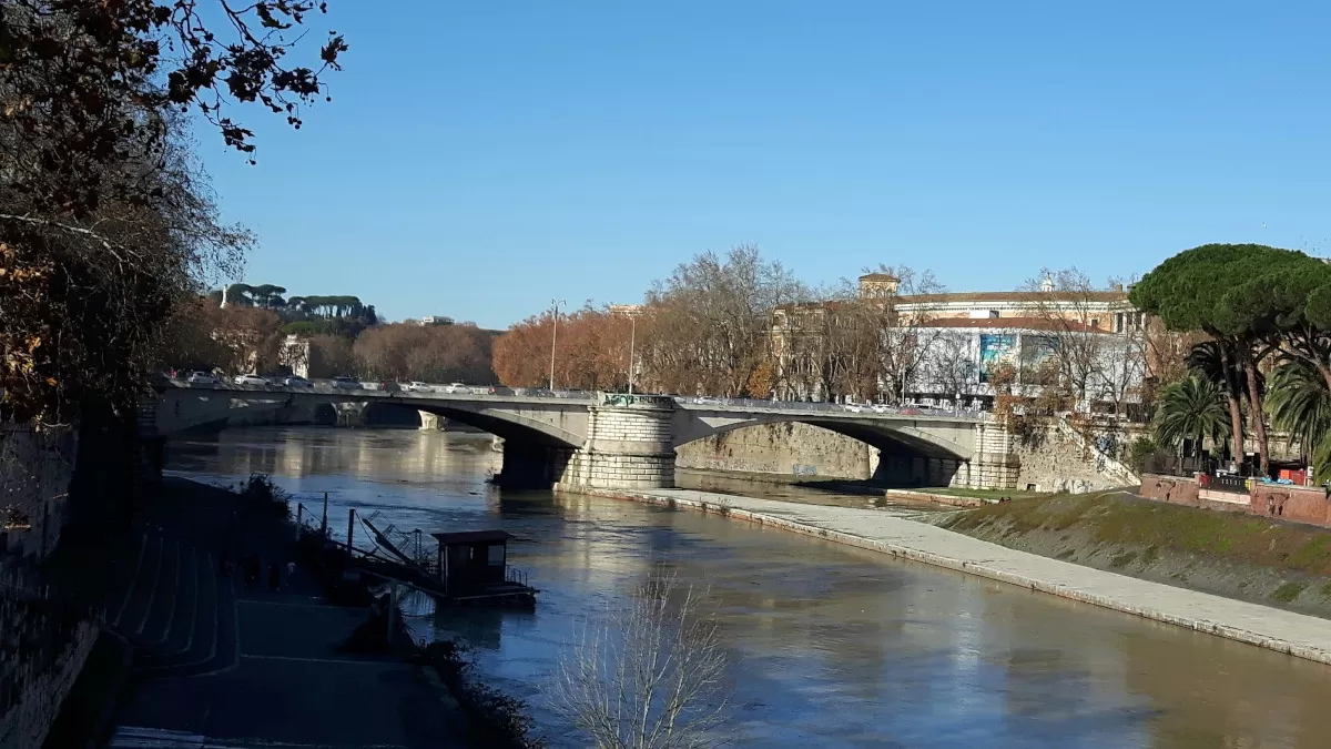 ponte-garibaldi-rerum2