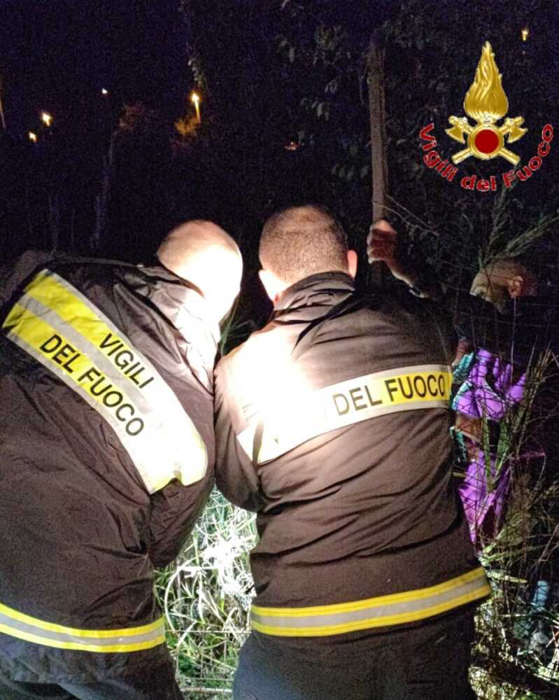 ricerche anziana vvf vigili fuoco pompieri civitavecchia 1 ricerche anziana vvf vigili fuoco pompieri civitavecchia 1