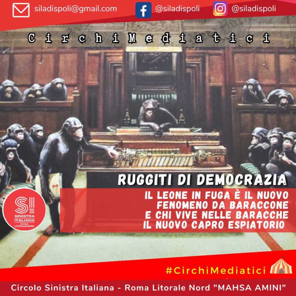 si ladispoli circhi mediatici si ladispoli circhi mediatici
