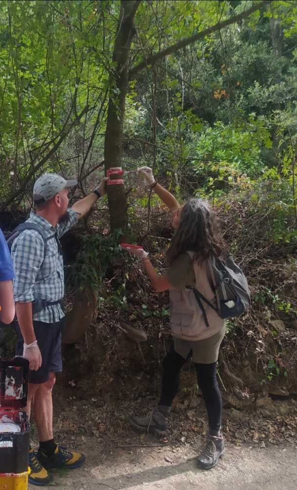 mezzi rifiuti bruciati vvf vigili fuoco pompieri