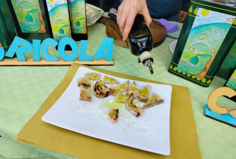 È iniziata la Festa dell’Olio nuovo a Cerveteri, tutto ciò che c’è da sapere