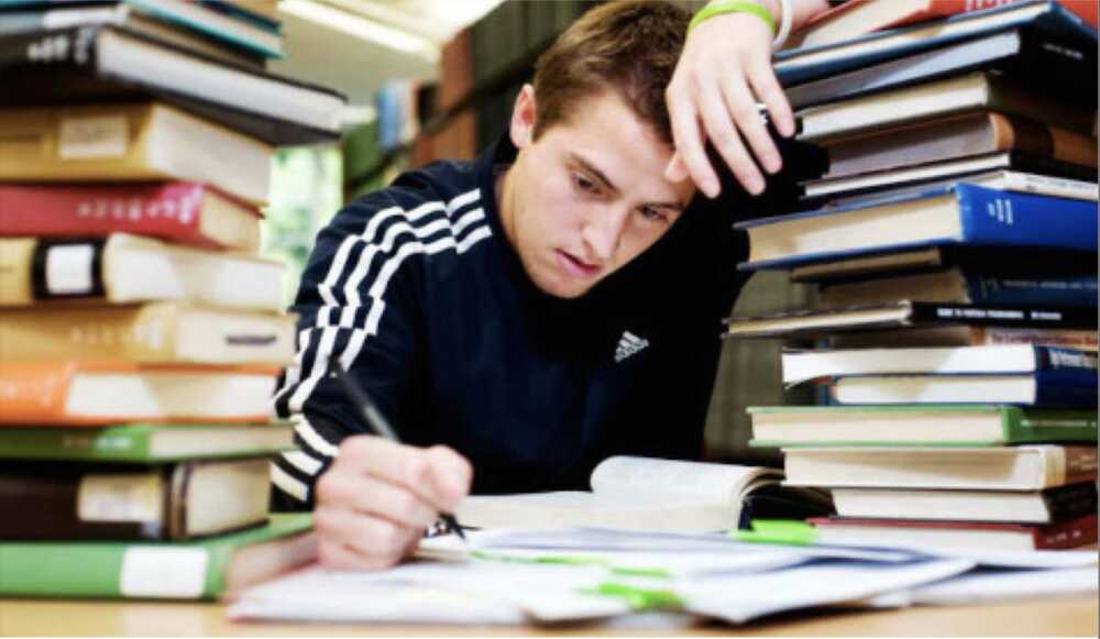 borse di studio fiumicino