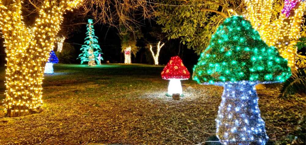 castello di santa severa villaggio di natale castello di santa severa villaggio di natale