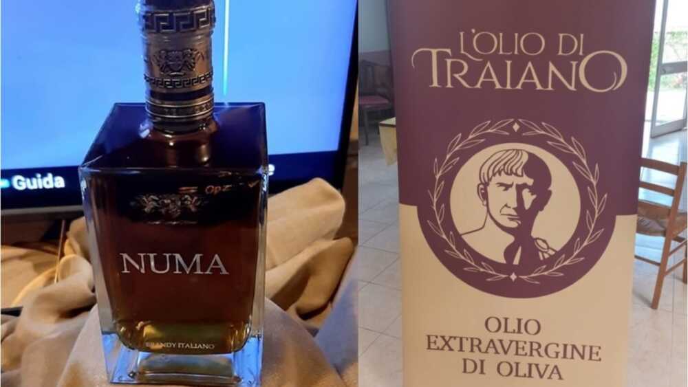 Unione d’intenti tra Università Agraria Civitavecchia e Brandy Numa di Tarquinia