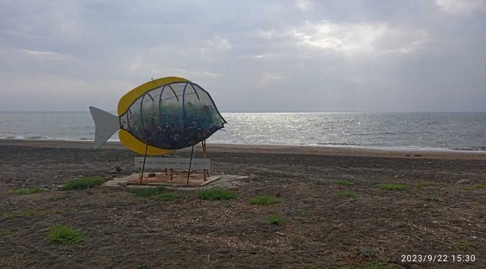 pesce mangia plastica cerenova marina cerveteri campo mare 1