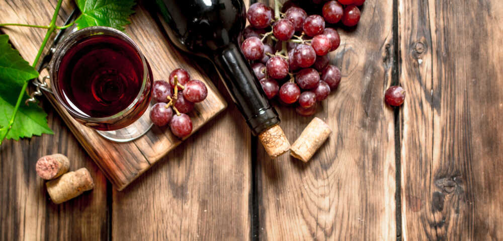 Red wine with a vine branch. Red wine with a vine branch.