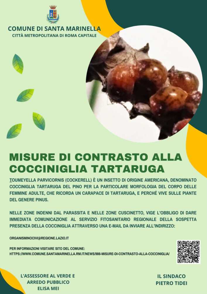 Czioni Di Giacca Interamente In Metallo - Foto 14