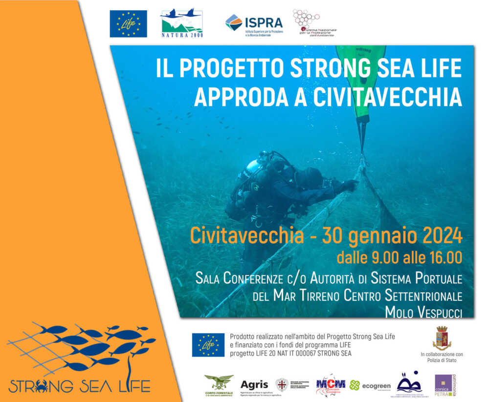 Il progetto Strong Sea Life approda a Civitavecchia Il progetto Strong Sea Life approda a Civitavecchia