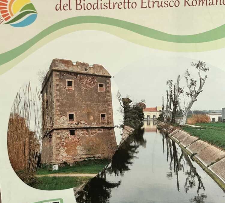 Bando pubblico per aziende agricole biologiche e convenzionali che operano nei Distretti del Cibo