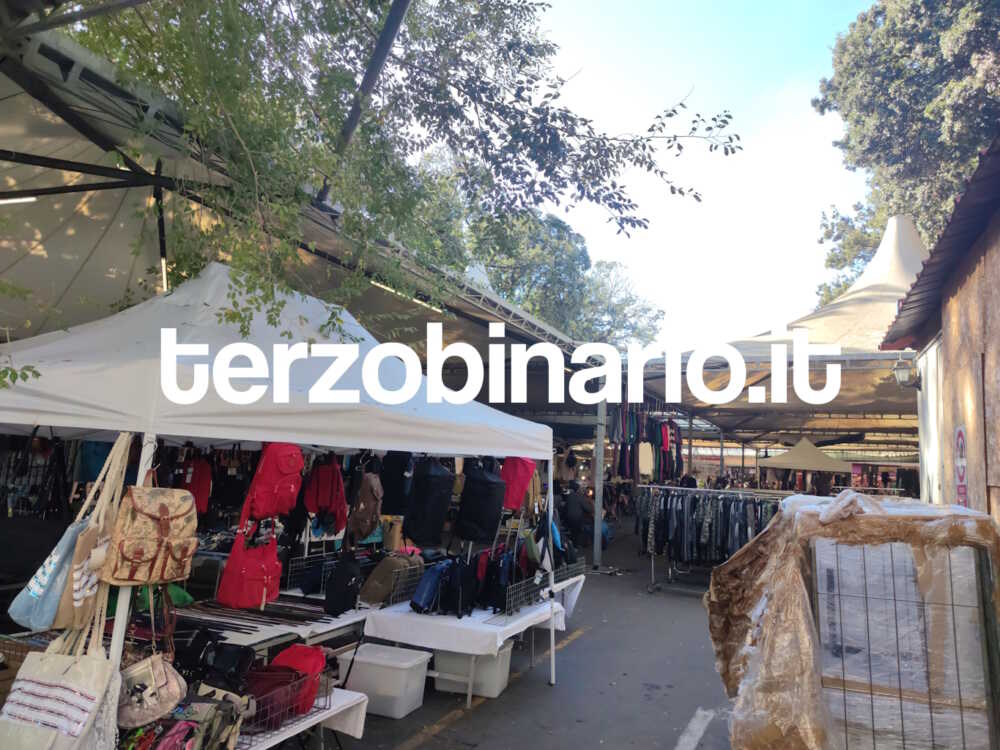 civitavecchia mercato (11) civitavecchia mercato (11)