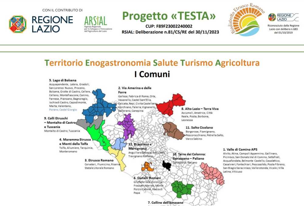 progetto testa biodistretto etrusco progetto testa biodistretto etrusco