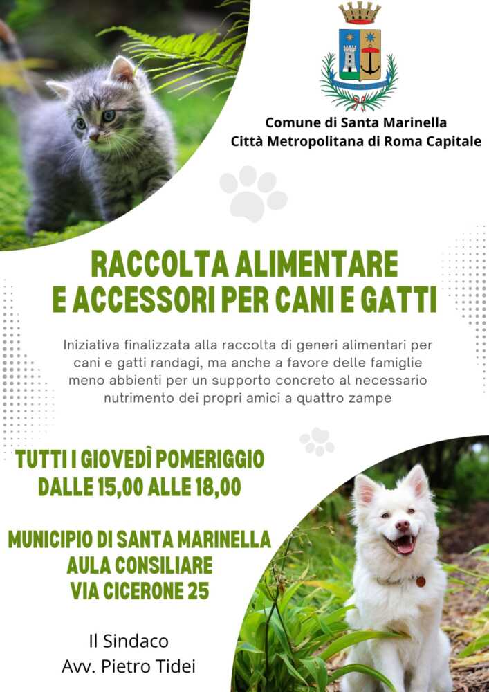 santa marinella Locandina raccolta alimentare cani e gatti