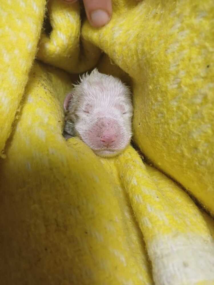 FB_IMG_1708771023419