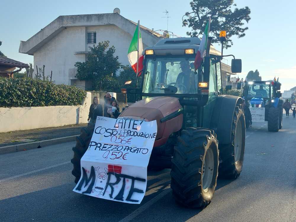 carri carnevale cerenova 2024 trattori