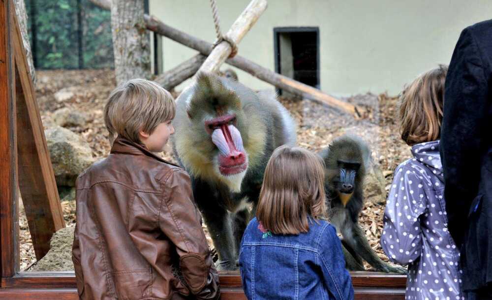 Carnevale al Bioparco di Roma: domenica sconto per i bimbi mascherati e tante attività