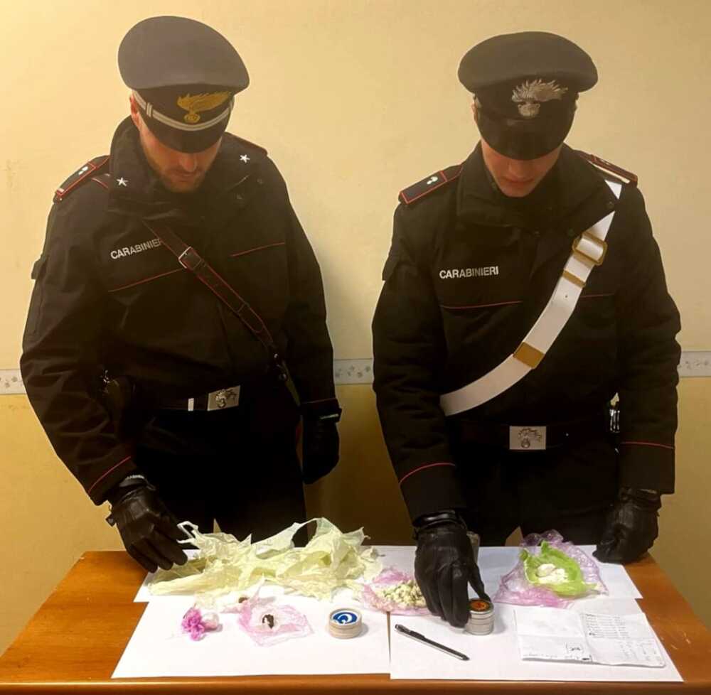 POMEZIA – Stupefacente sequestrato dai Carabinieri POMEZIA - Stupefacente sequestrato dai Carabinieri