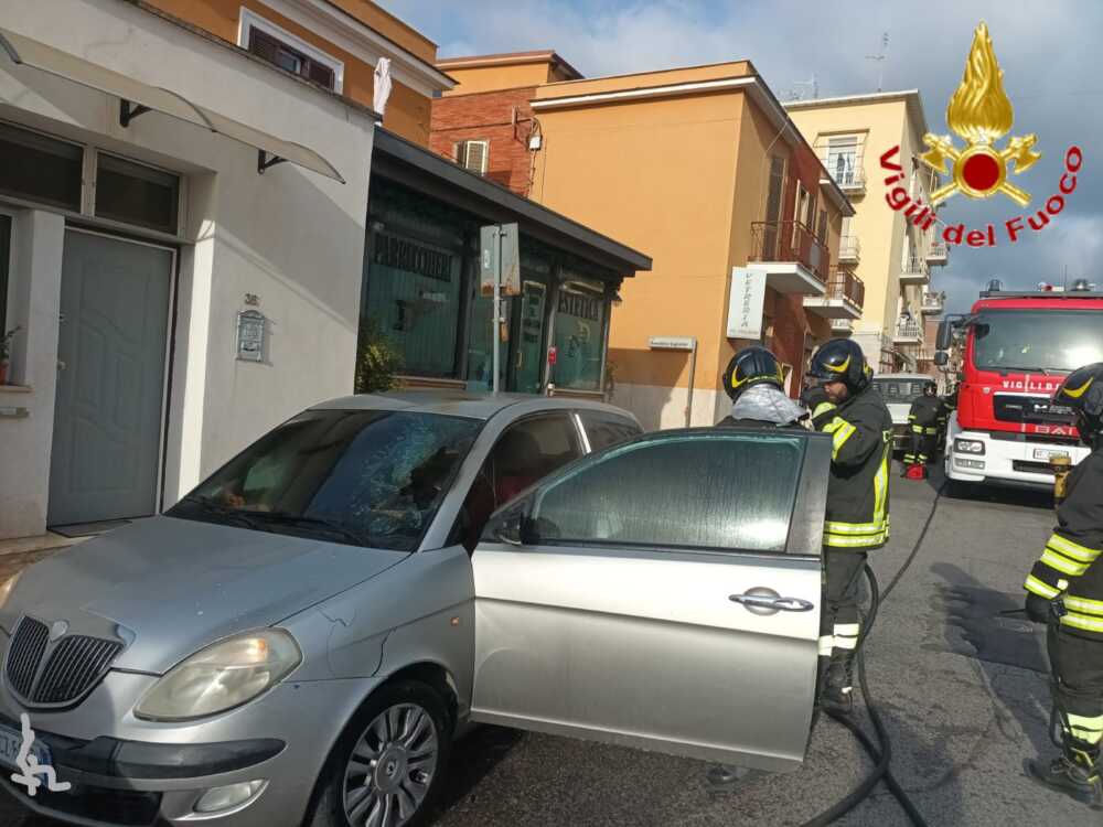 auto fiamme benci gatti civitavecchia vvf vigili fuoco pompieri auto fiamme benci gatti civitavecchia vvf vigili fuoco pompieri