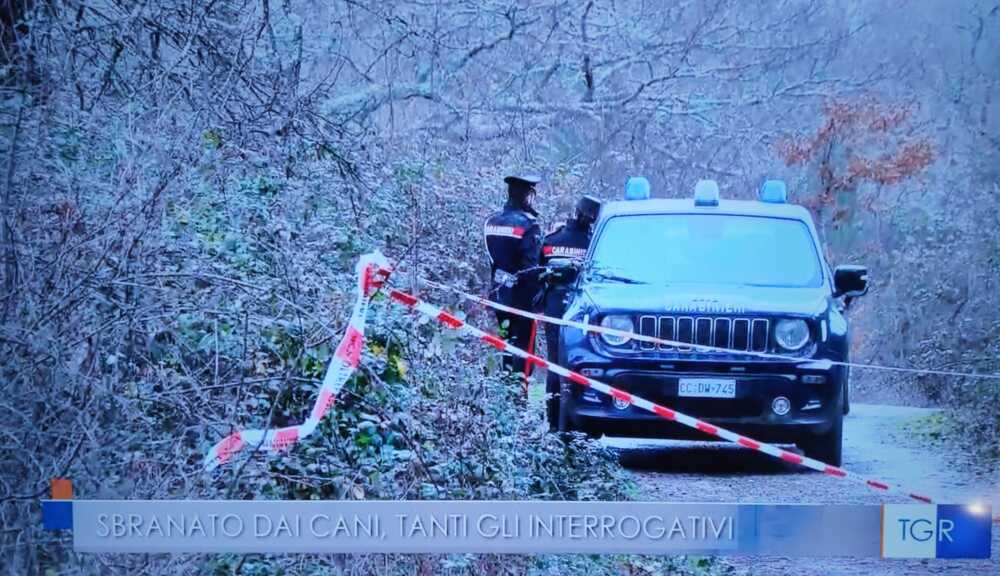 carabinieri manziana nastro bosco carabinieri manziana nastro bosco