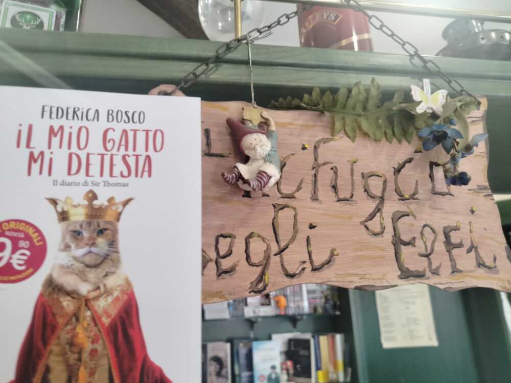 il mio gatto mi detesta rifugio degli elfi