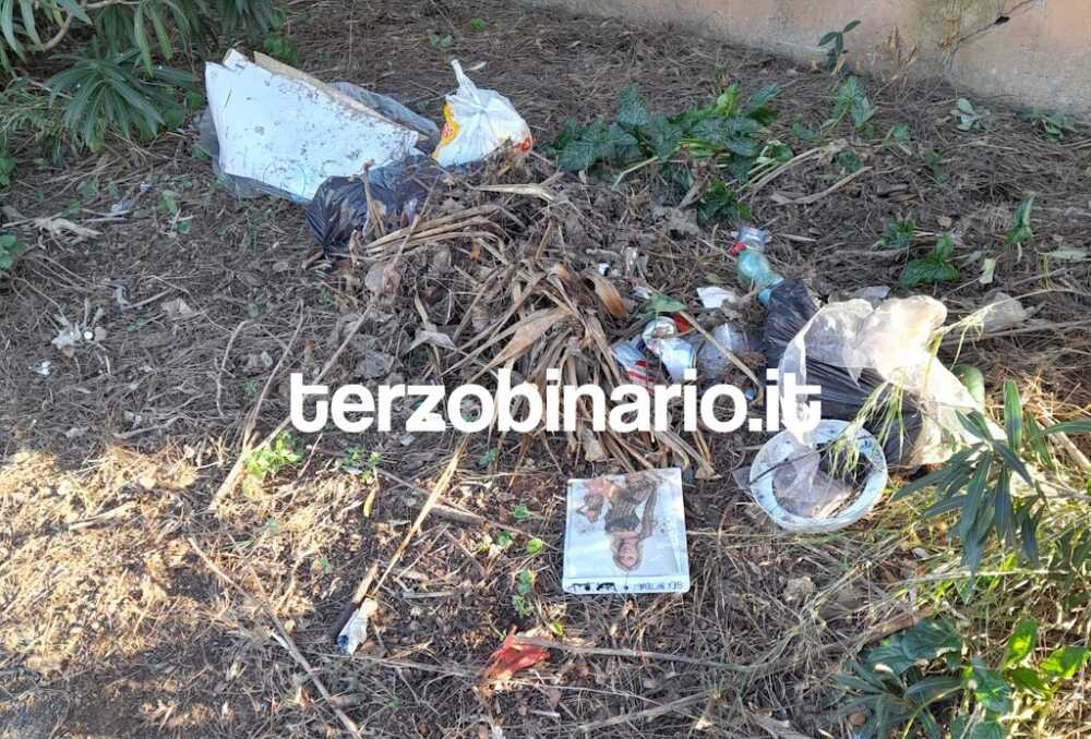 immondizia viale america ladispoli 4 immondizia viale america ladispoli 33