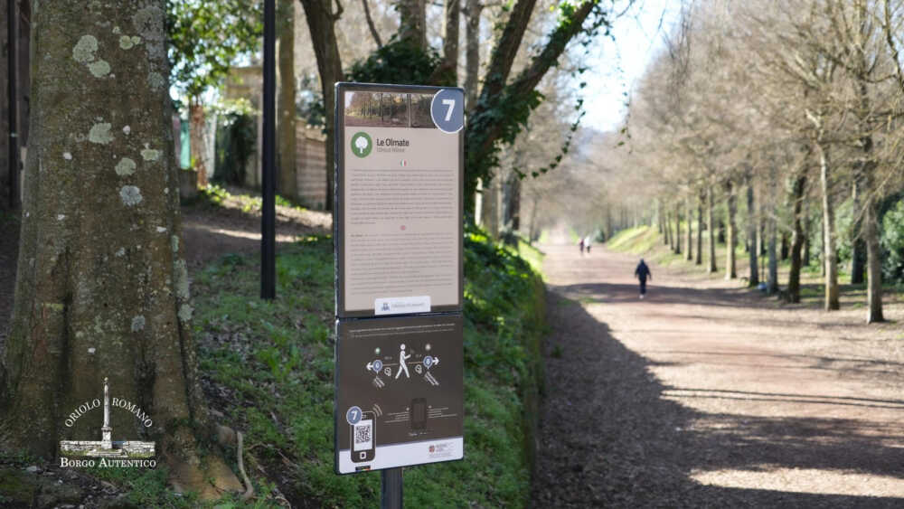 oriolo olmate montevirginio canale monterano olmate montevirginio canale monterano oriolo