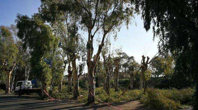 Parco degli Eucalipti torna al comune di Santa Marinella
