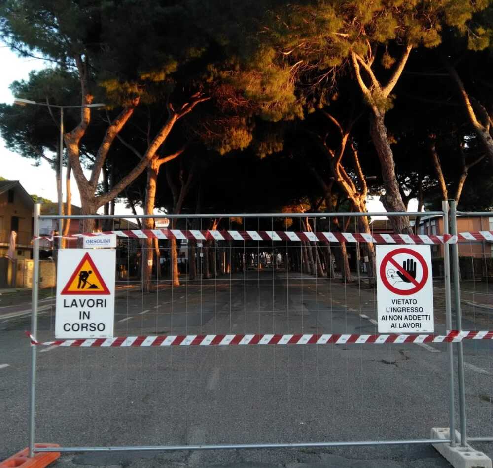 pini abbattuti tarquinia