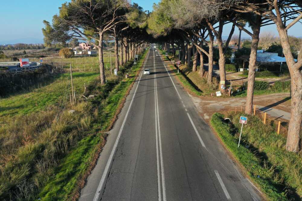 pini-aurelia-sorpasso-ladispoli km 38 pini-aurelia-sorpasso-ladispoli km 38