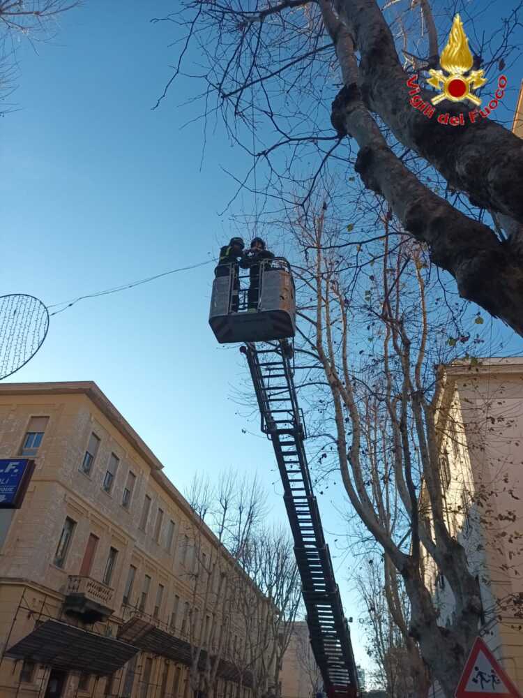 vvf vigili fuoco luminarie autoscala pompieri civitavecchia vvf vigili fuoco luminarie autoscala pompieri civitavecchia