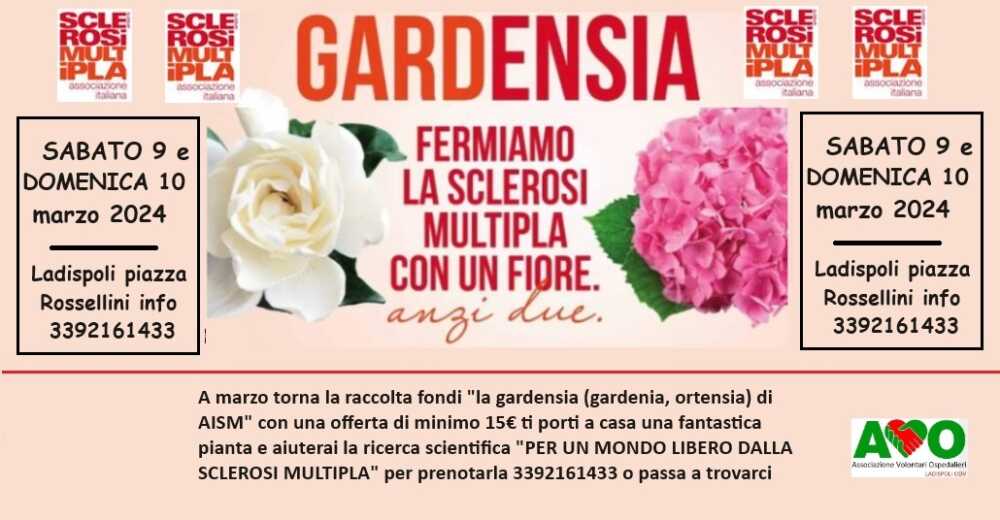 Avo Aism 2024 Gardenia Avo Aism 2024 Gardenia